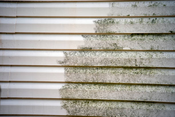 Best Property Management Cleanouts  in Pensacola Station, FL